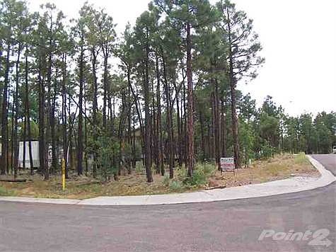2nd image of 821 E Black Bear Ln