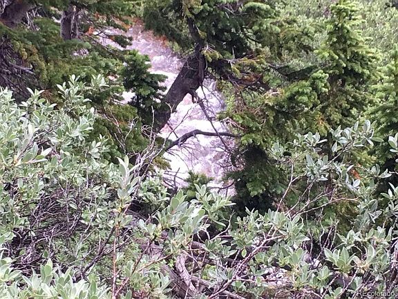 3rd image of 303 Silver Horseshoe Rd