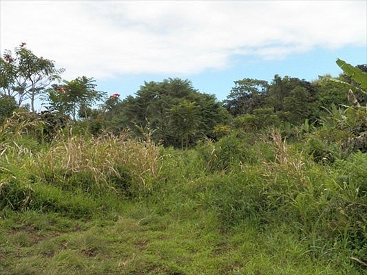 1st image of LOT 1 Lot 1