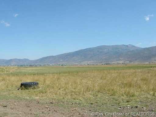 4th image of 333 N Democrat Aly #Cd-563