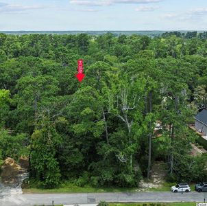 Lot 8 Tuckers Rd., Pawleys Island, SC, 29585