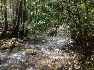 Long Branch Trl, Little Switzerland, NC 28749