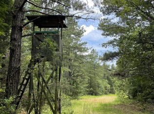 Seven Springs Rd, Raymond, MS 39154