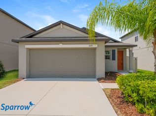 10215 Bright Crystal Ave, Riverview, FL 33578