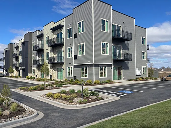 Grey Hawk- Available April 2026