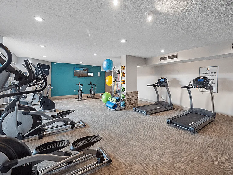 Cardio Equipment & Weighted Balls