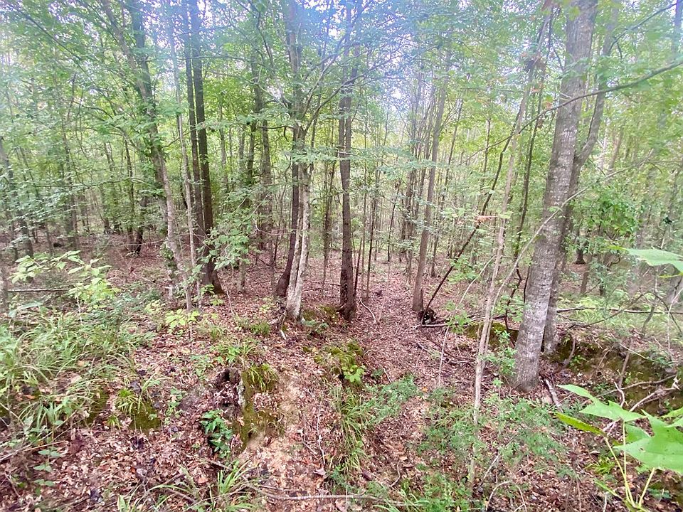 2nd image of 0 Cub Brown Rd
