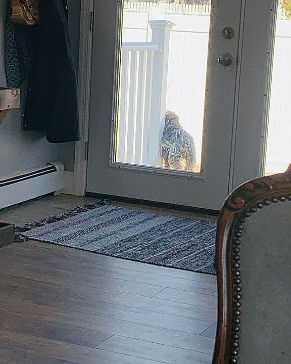1st image of 17 Cherry Ln