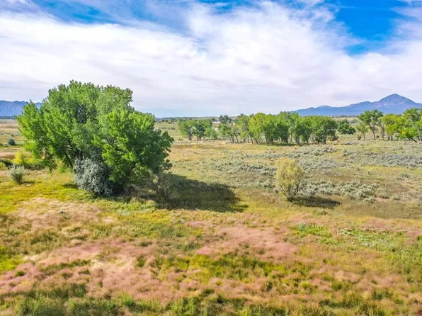 TBD Road M, Cortez, CO 81321