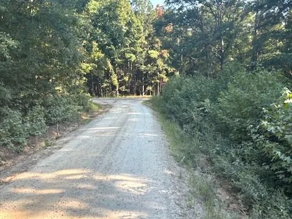 LOT Milner Rd #B, Chappells, SC 29037