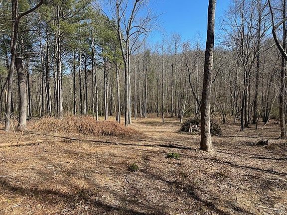 5th image of LOT 16 Bravo Way