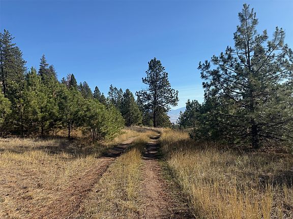 4th image of PARCEL 1C Dry Gulch Rd