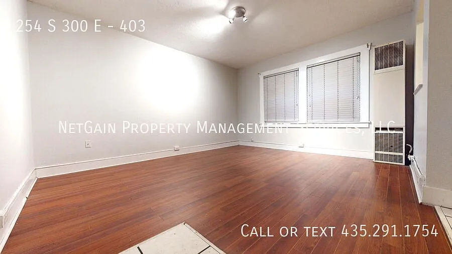 Downtown Adjacent 1BR Apartment Pet Friendly — Photo 4