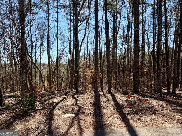 2487 S Carroll Ct, Villa Rica, GA 30180