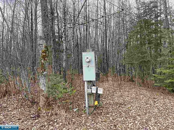 4th image of 49720 W Stingy Lake Rd