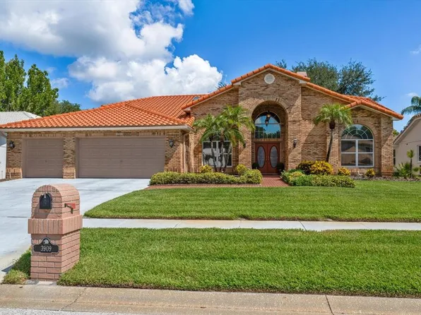 3909 Tarian Ct, Palm Harbor, FL 34684