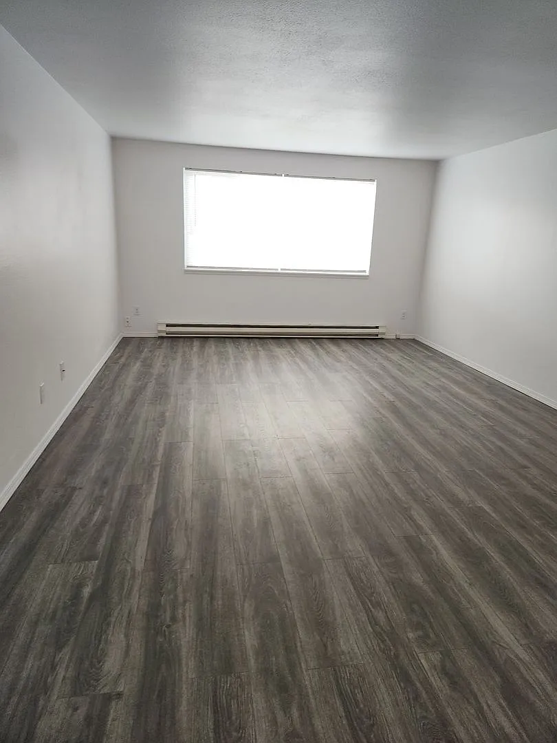 937 Nandina St — Photo 2