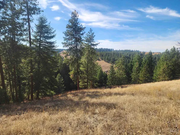 Jack Pine Rd, Cottonwood, ID 83522
