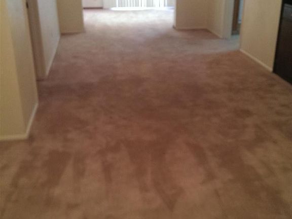 4th image of 701 Holly Dr