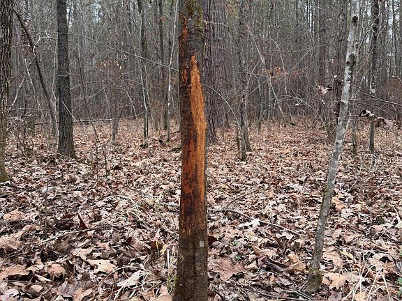 4th image of Bodka Valley Rd