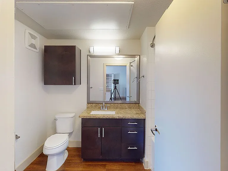 Apartment bathroom with wood-style flooring.