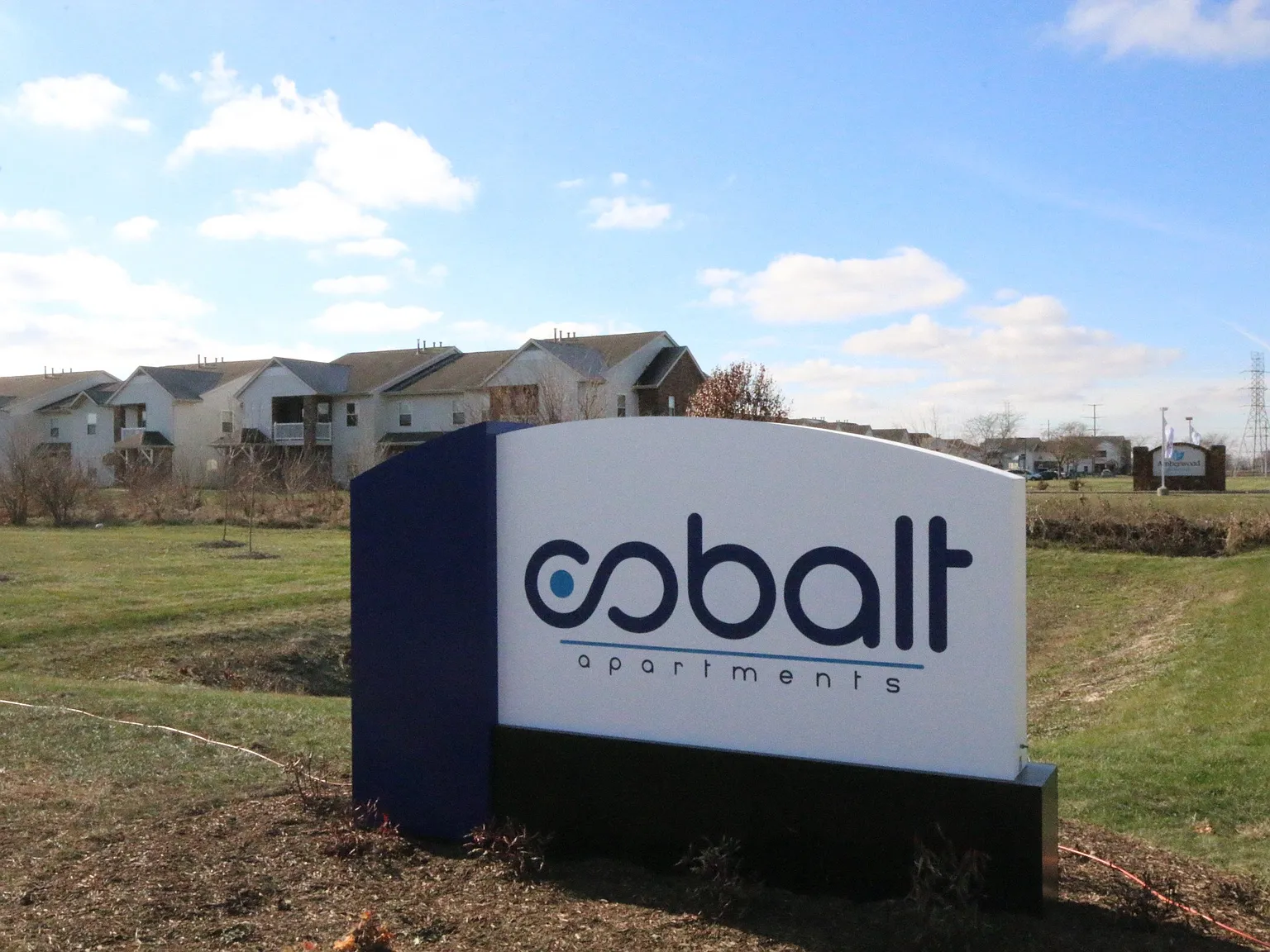Cobalt Apartments — Photo 2
