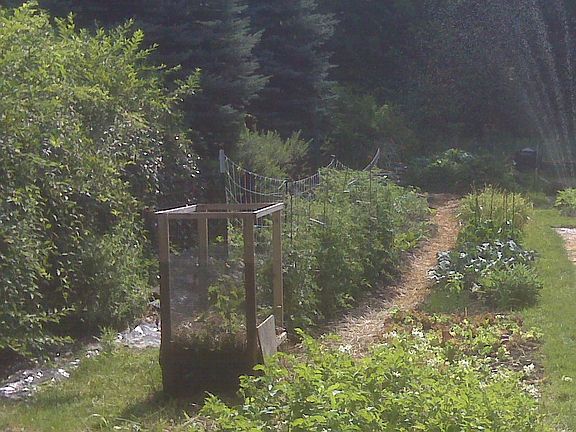 Organic Garden