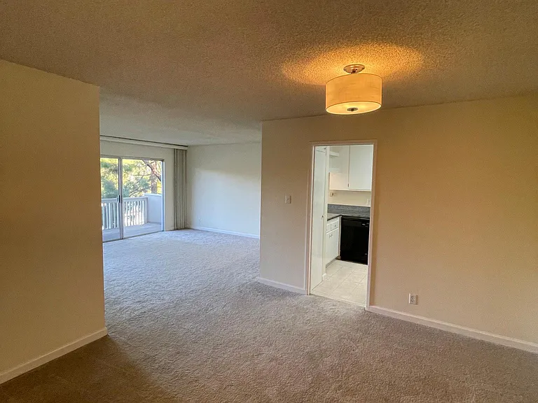 1101 Continentals Way #310 — Photo 7