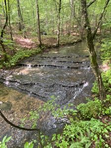 0 Firetower Rd, Hohenwald, TN, 38462