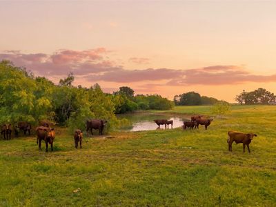 321 Hcr 2122 E, Whitney, TX, 76692