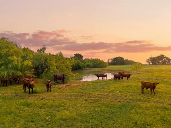 321 Hcr 2122 E, Whitney, TX 76692