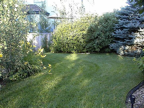 Fabulous backyard for entertaining