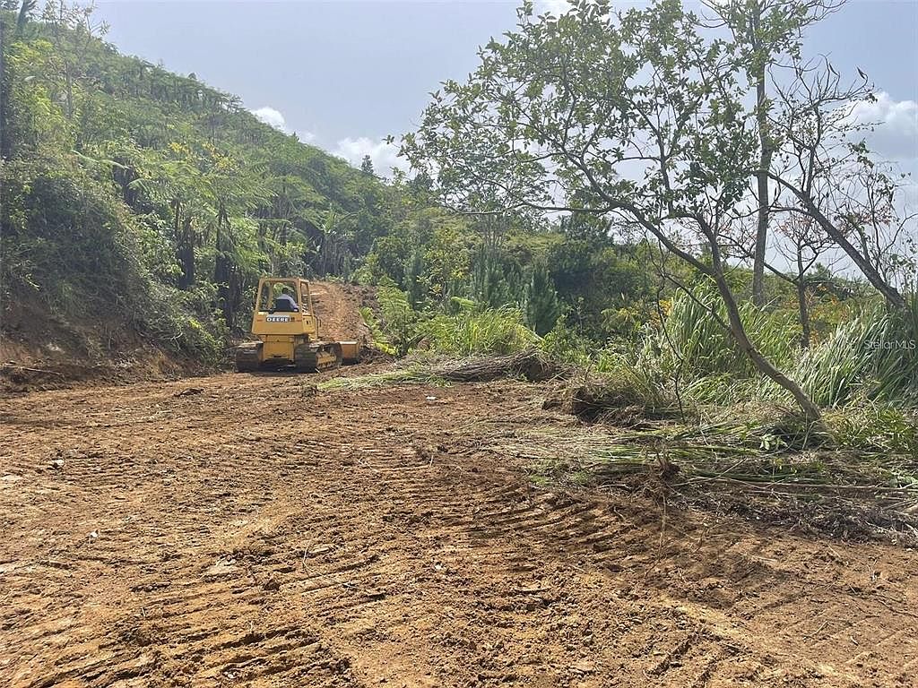 Km 2.2 Palmarito Ward Rd #800, Corozal, PR 00783 | Zillow