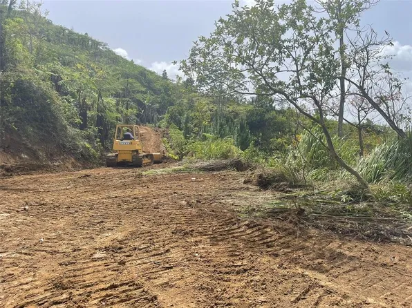Km 2.2 Palmarito Ward Rd #800, Corozal, PR 00783