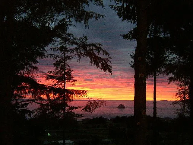 VIEW FROM FRONT YARD