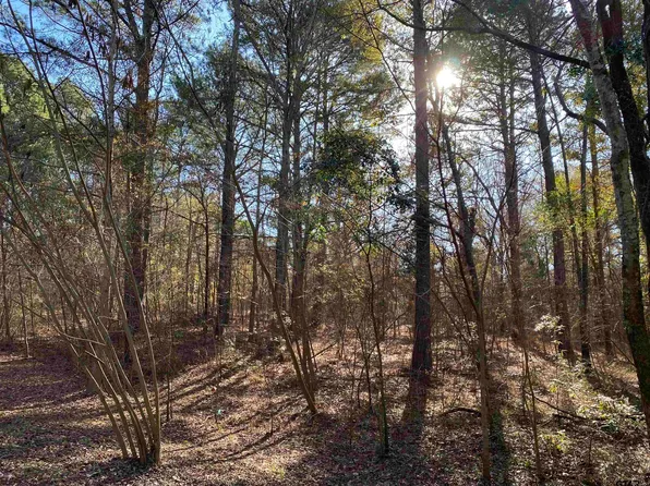LOT 11 Carene, Frankston, TX 75763