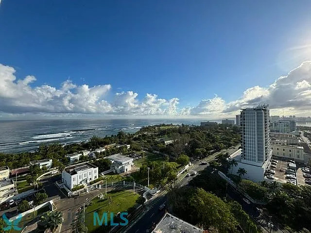 1604 Avenue De La Constitucion #1604 — Photo 9