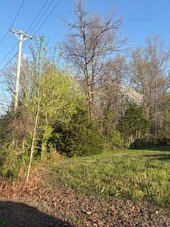 IMG_6256