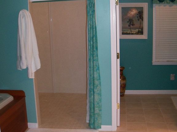 Walk-in Shower and more