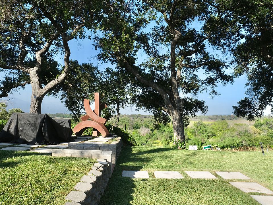 Panoramic hillside landscape / garden
