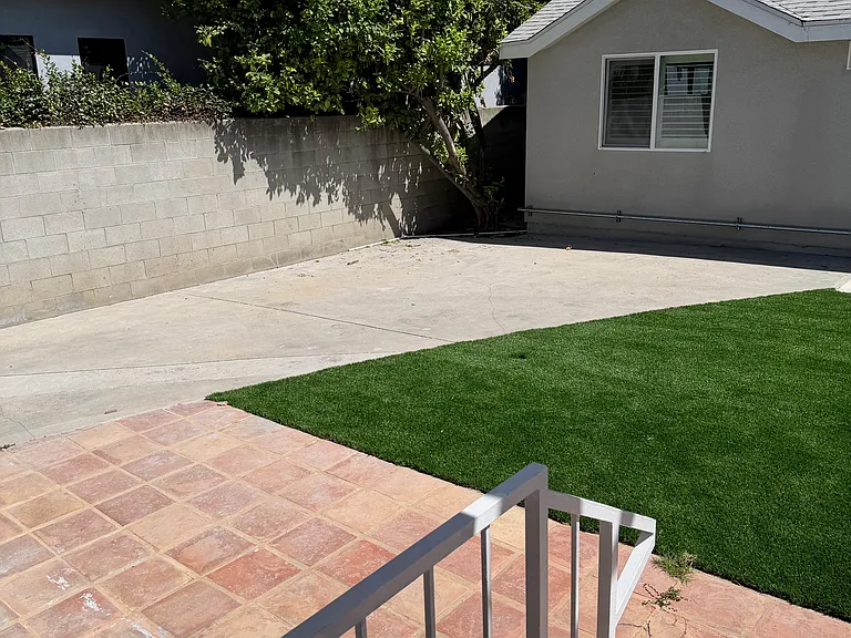 Back Yard