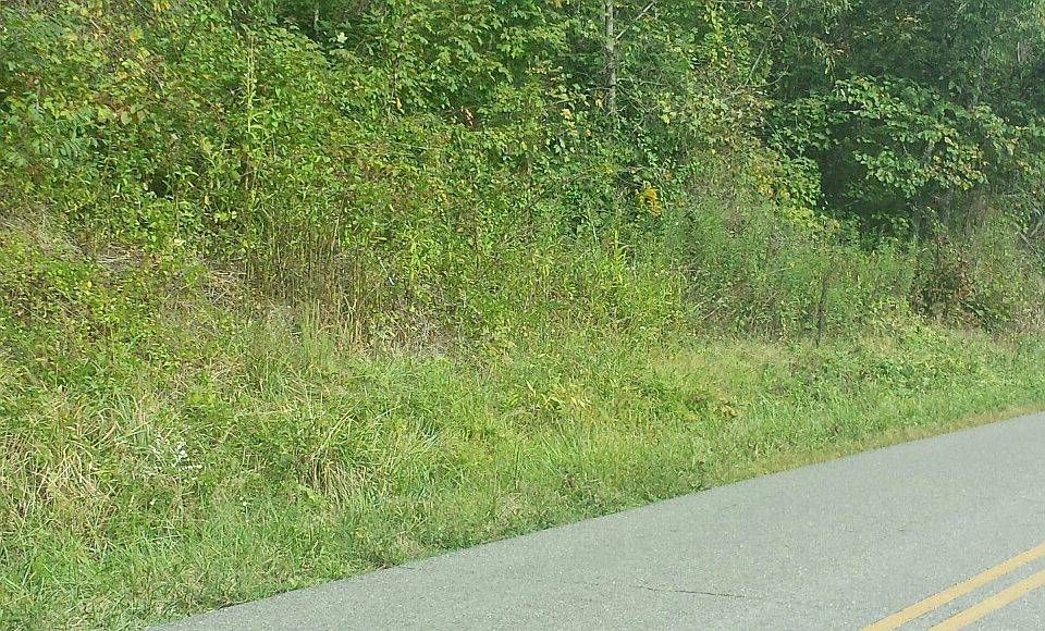 2nd image of 0 Bulaville Pike