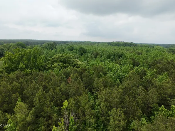 6936 Hillsboro Ludlow Rd, Forest, MS 39074