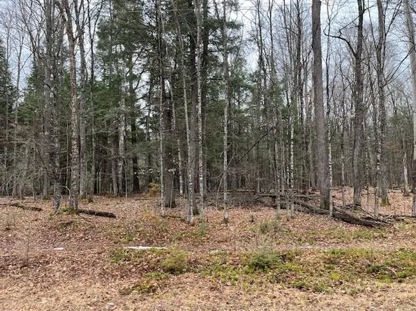 N Forest Lake Rd Lot 2, Land O Lakes, WI 54540