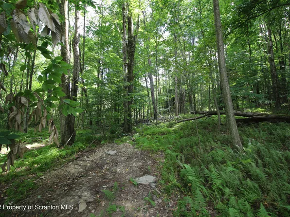 State Route 438, Clarks Summit, PA 18411