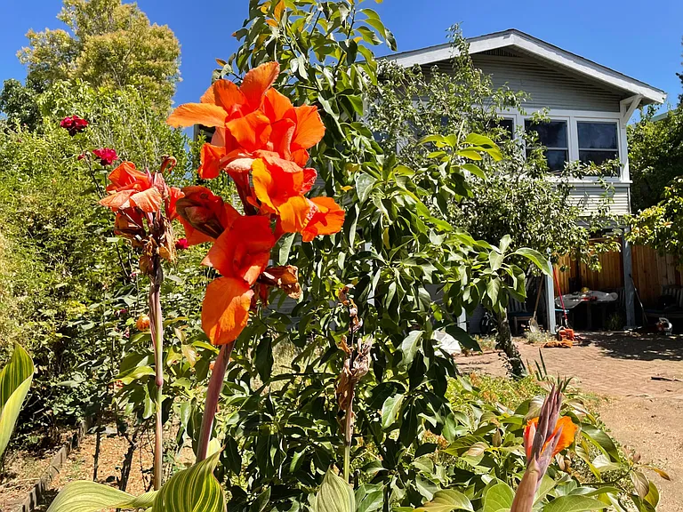 Sir Francis Drake Blvd — Photo 4