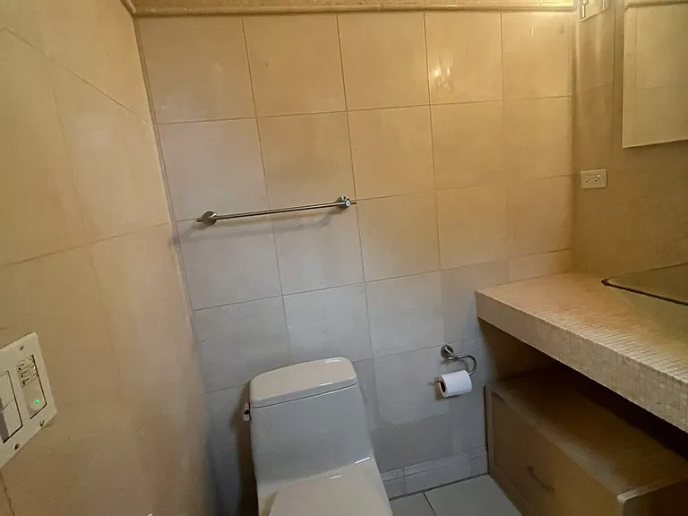 3S572 Haylett Ave — Photo 13