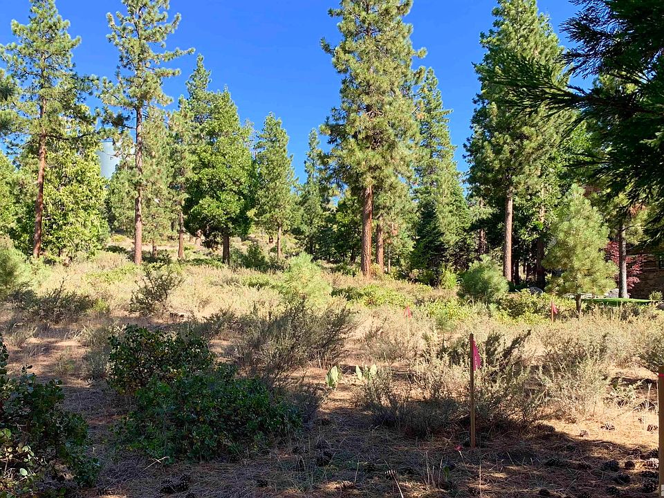 3 Kelly Cir, Glenbrook, NV 89413 Zillow