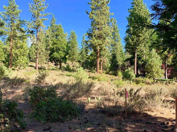 3 Kelly Cir, Glenbrook, NV 89413