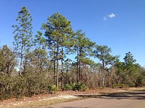 1st image of 3045 N Stirrup Dr